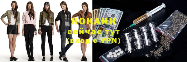 шишки Киреевск