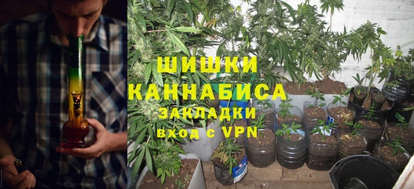 шишки Киреевск
