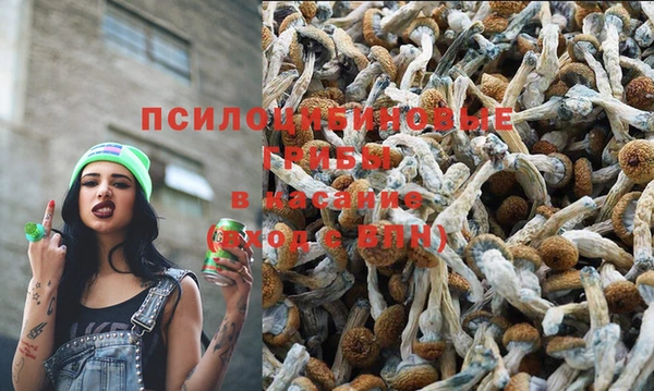 шишки Киреевск