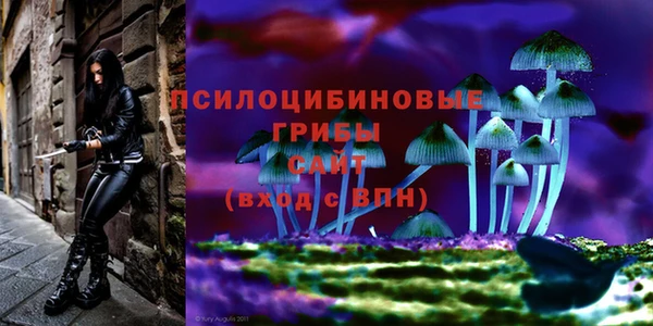 кокс Киренск