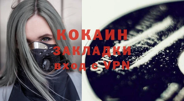 шишки Киреевск