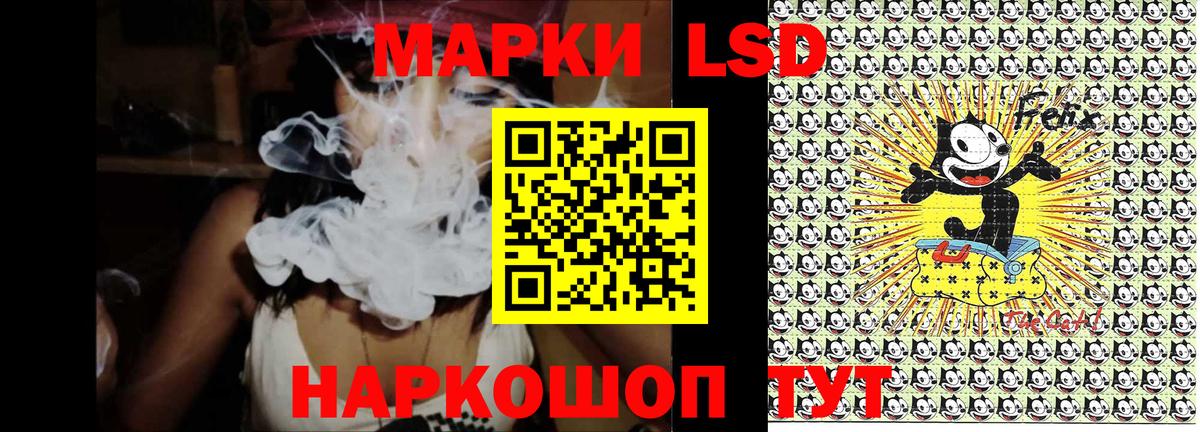 Альфа ПВП Керчь