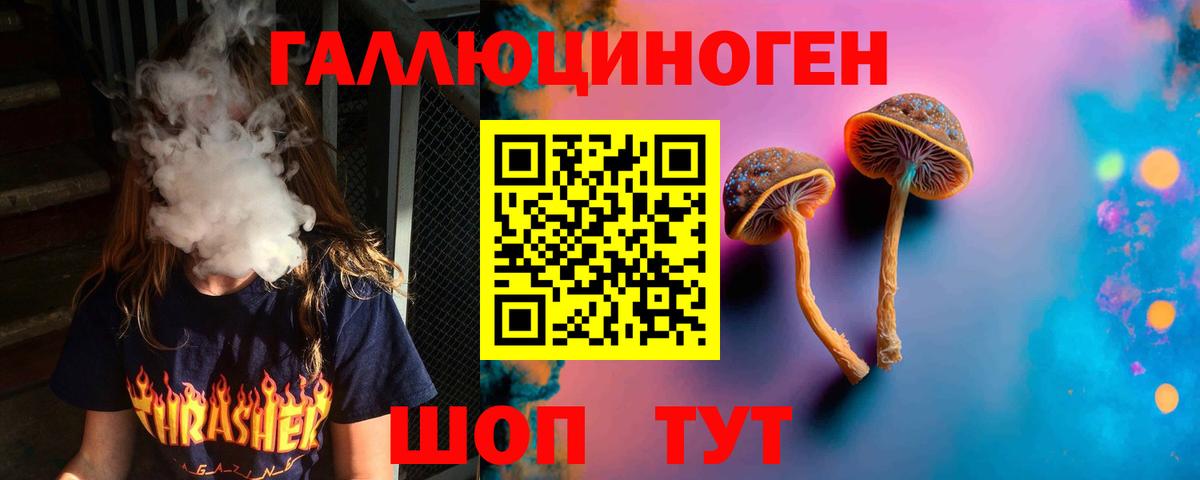 Керчь  Псилоцибиновые грибы GOLDEN TEACHER  Псилоцибиновые грибы Psilocybe  Вход с VPN 