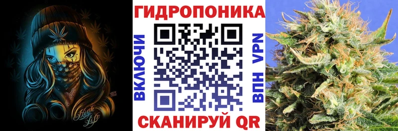 Бошки марихуана сатива  Керчь 